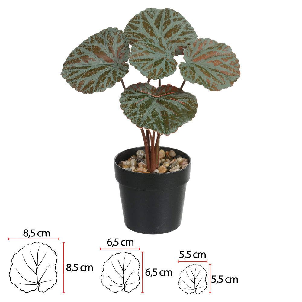 GERANIO REAL TOQUE COM POTE (VERDE PURPURA) 24cm