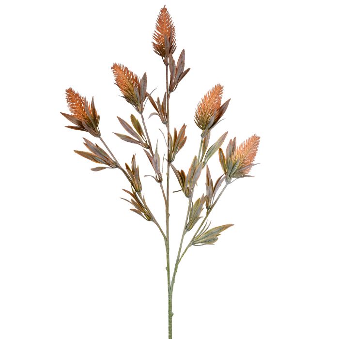 HASTE SEMENTES SILVESTRES LARANJA OUTONO