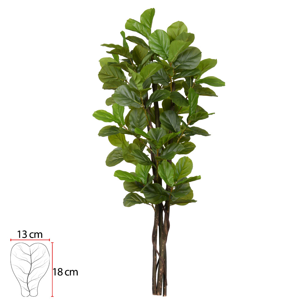 FICUS LYRATA REAL TOQUE (VERDE) 1,85M