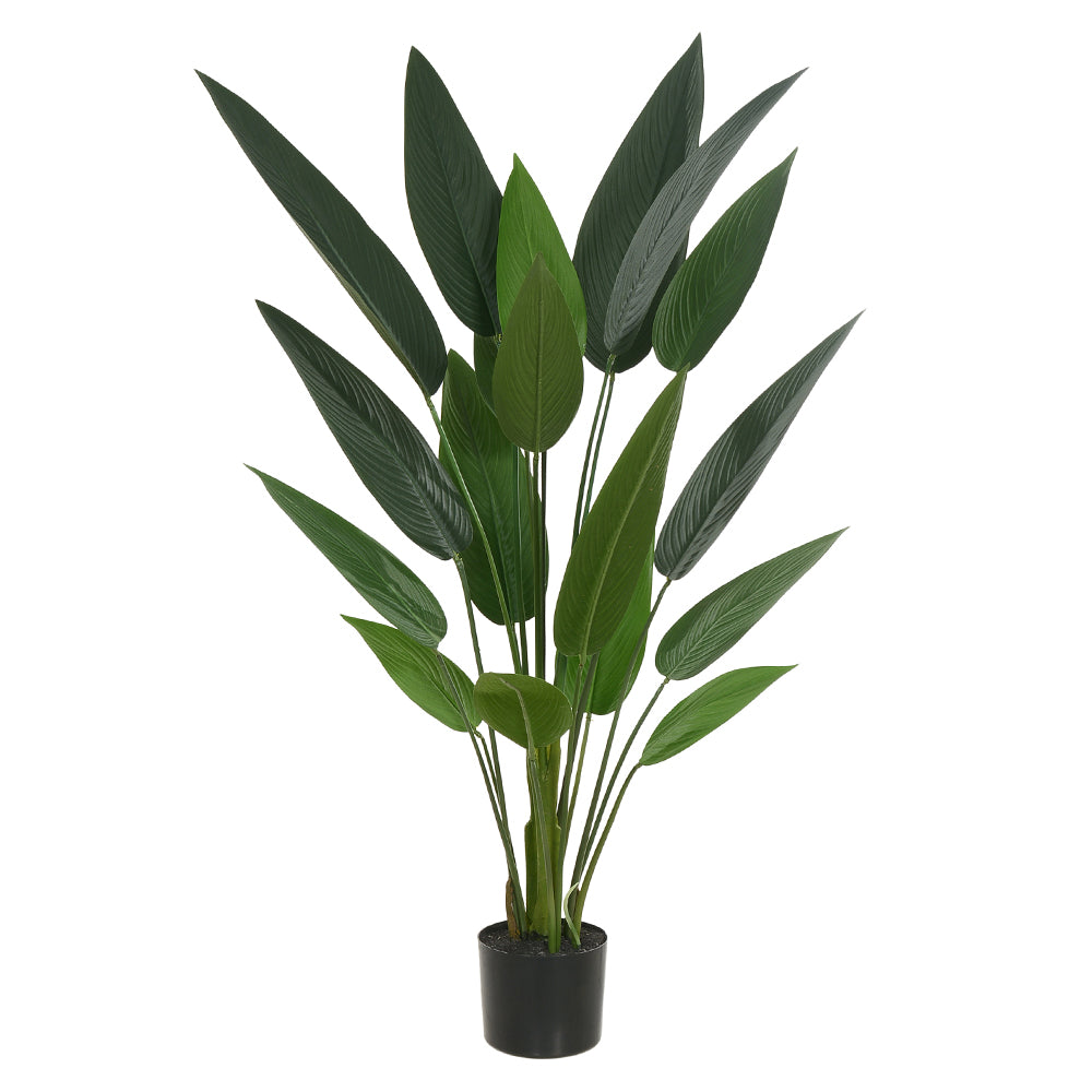 ESTRELICIA COM POTE X18 (VERDE) 1,2M