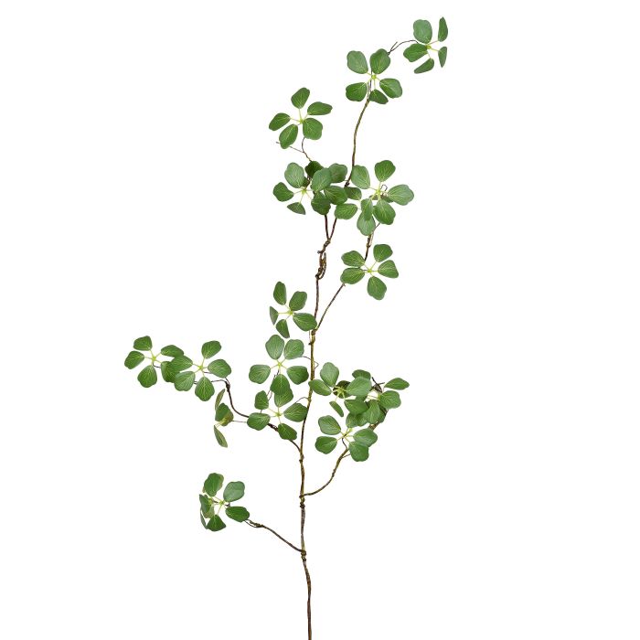 GALHO DE FOLHAS SILVESTRES VERDE