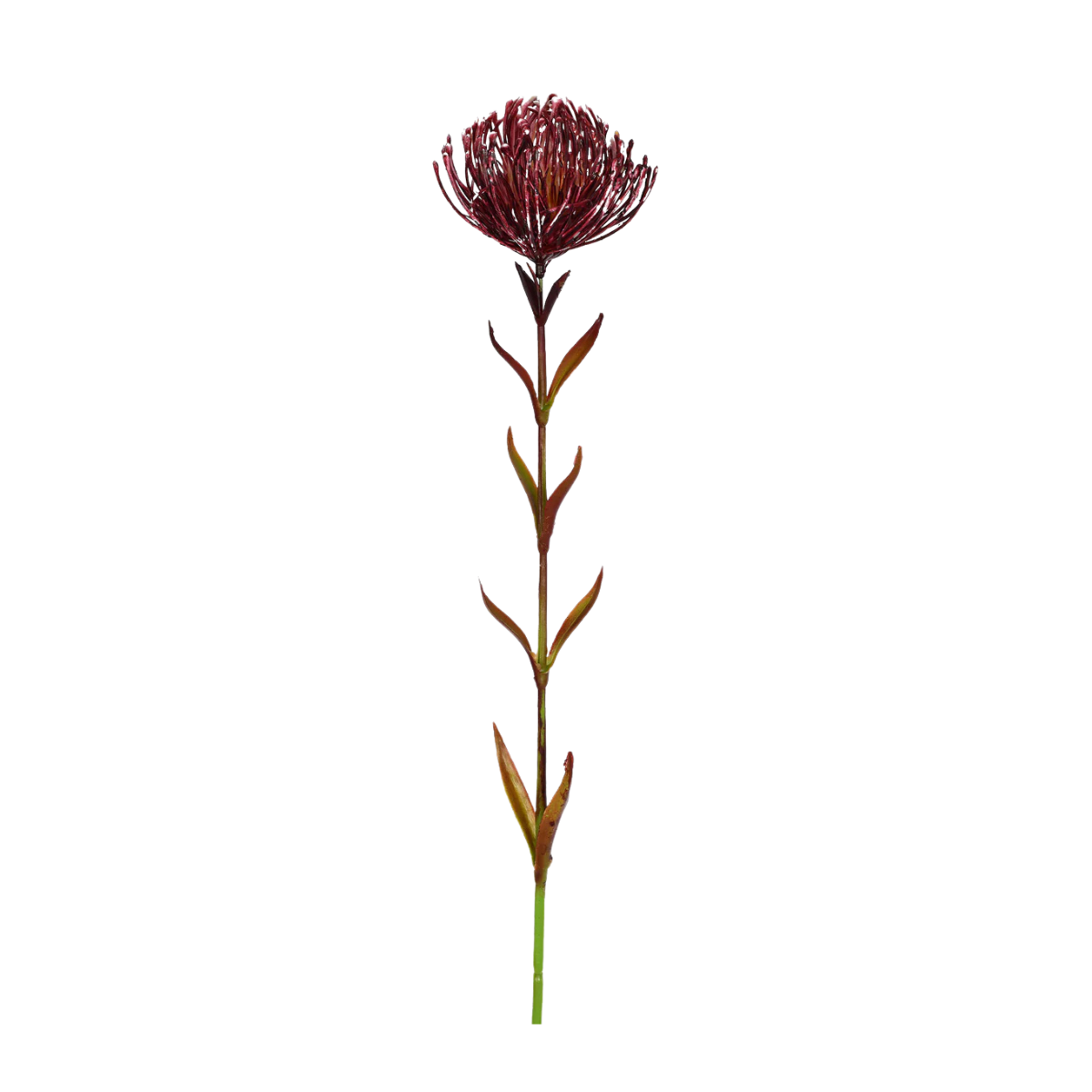 LINARIA PURPUREA PENDURAR (PESSEGO) 88CM