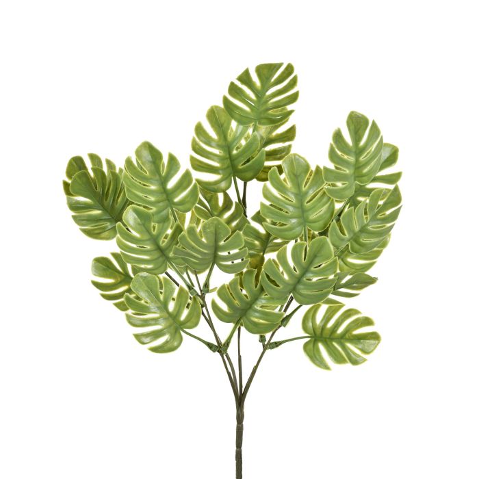 BUQUÊ COSTELA DE ADAO VERDE