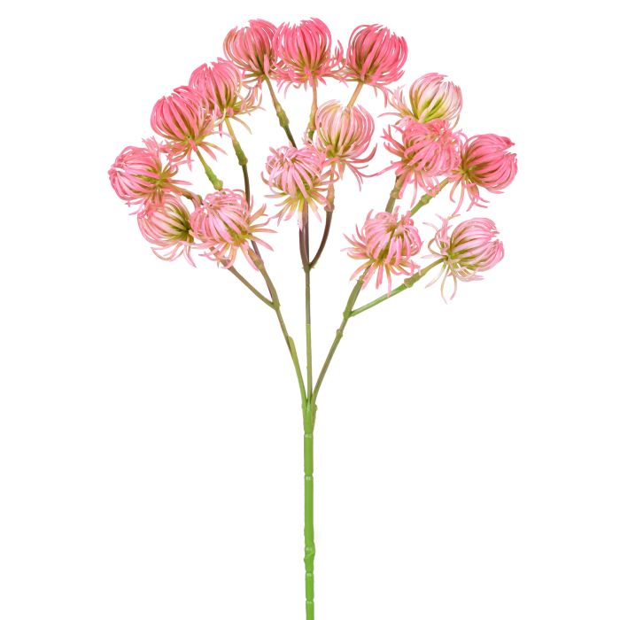HASTE FLORES DO CAMPO ROSA