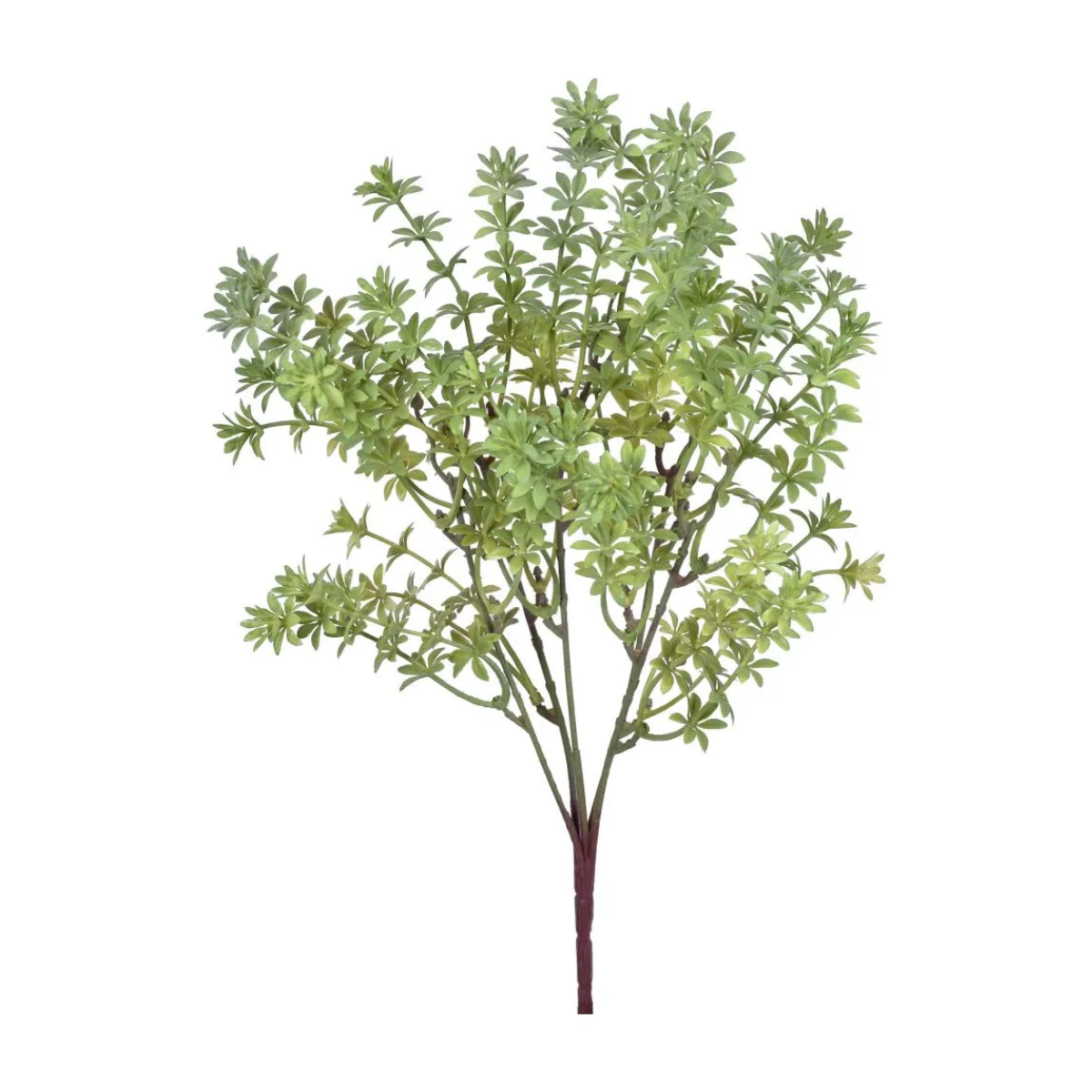 BUQUE FOLHAS ESTRELA VERDE