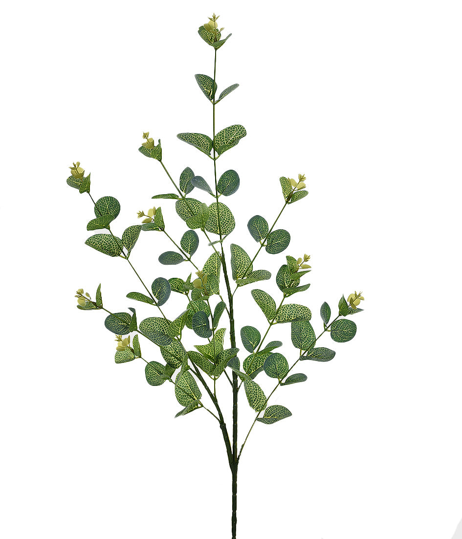 BUQUÊ EUCALIPTO VERDE OUTONO