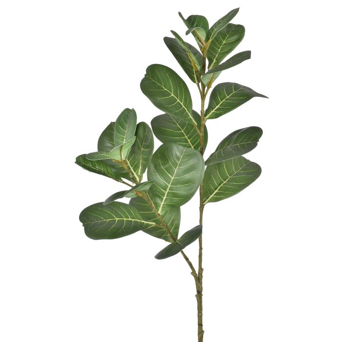 HASTE FICUS CONCINNA 3D VERDE