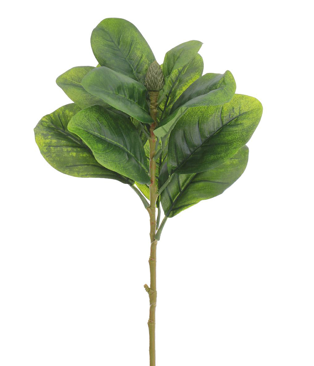 HASTE FOLHAS MAGNÓLIA VERDE