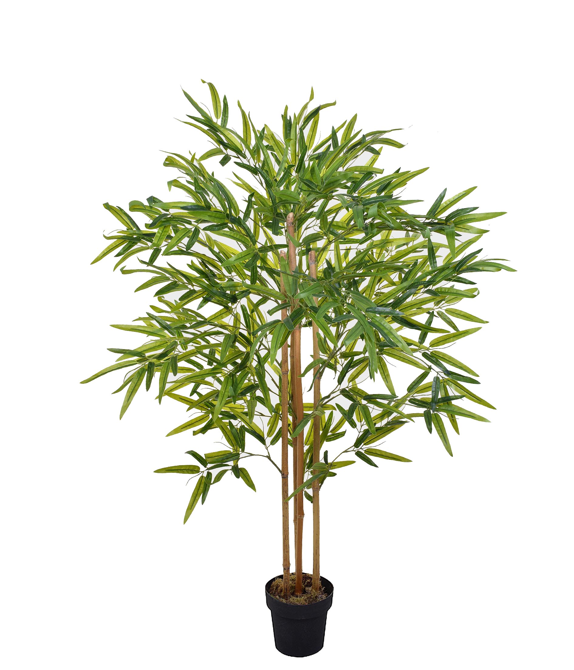 PLANTA BAMBU 4 HATES VERDE 136CM