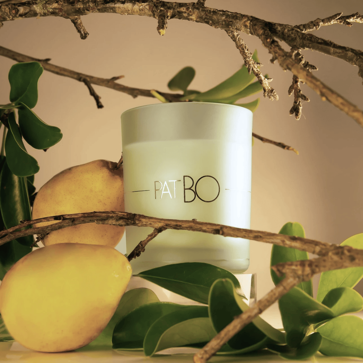 VELA PERFUMADA PATBO - SUMMER PEAR - 210G