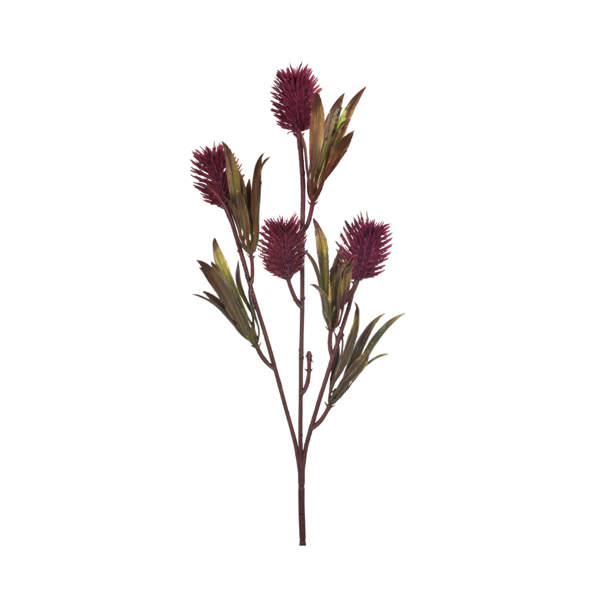 HASTE CARDO SILVESTRE VERMELHO