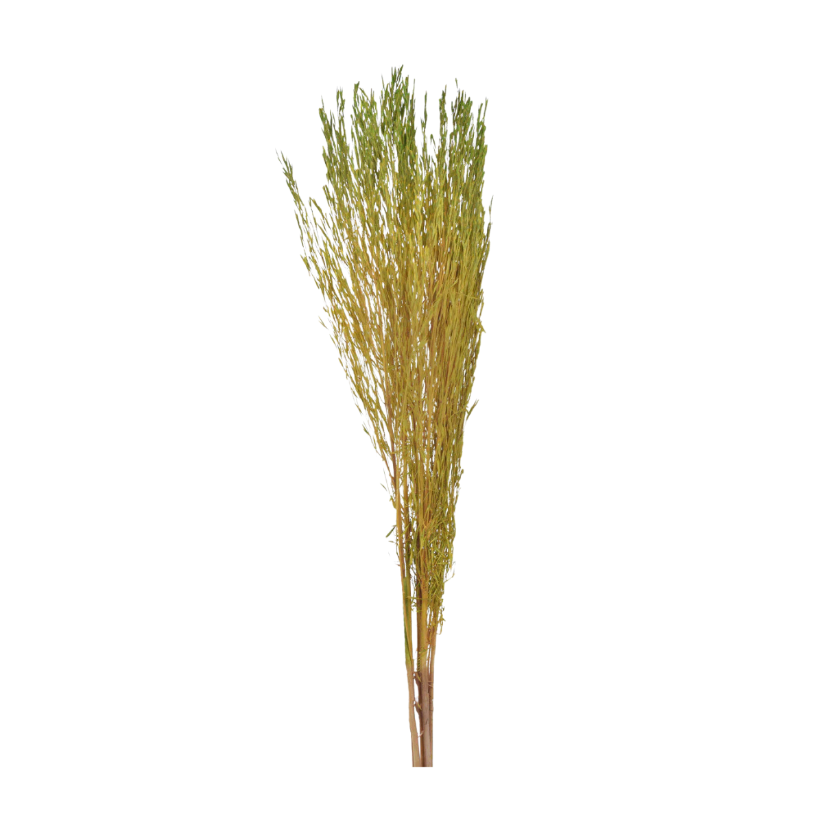 HASTE FLOR DE PESSEGUEIRO CREME