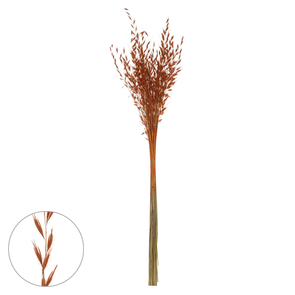 CAPIM BRINCO DESIDRATADO (LARANJA OUTONADO) 80CM