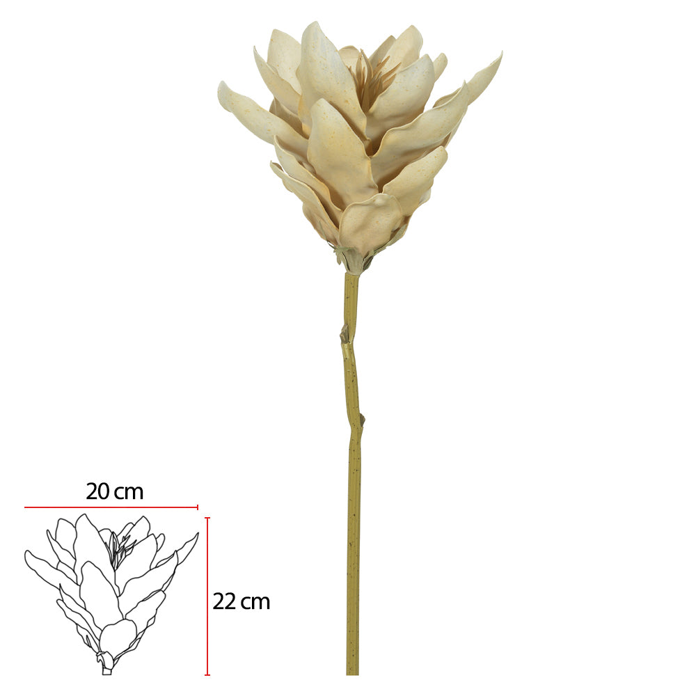H.MAGNOLIA EVA (PALHA) 62CM