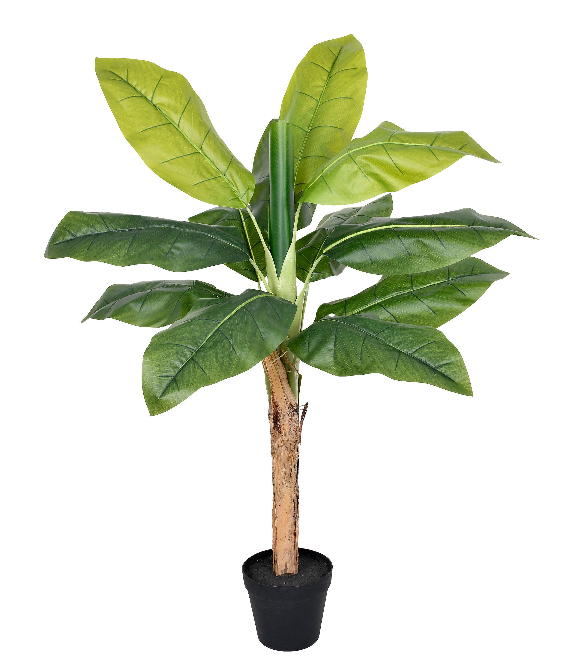 BANANEIRA NO POTE VERDE 1M
