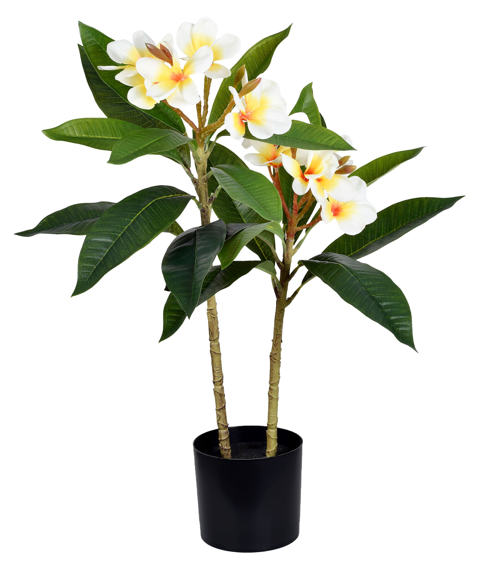PLUMERIA NO POTE REAL 2 HASTES TOQUE AMARELO 63CM
