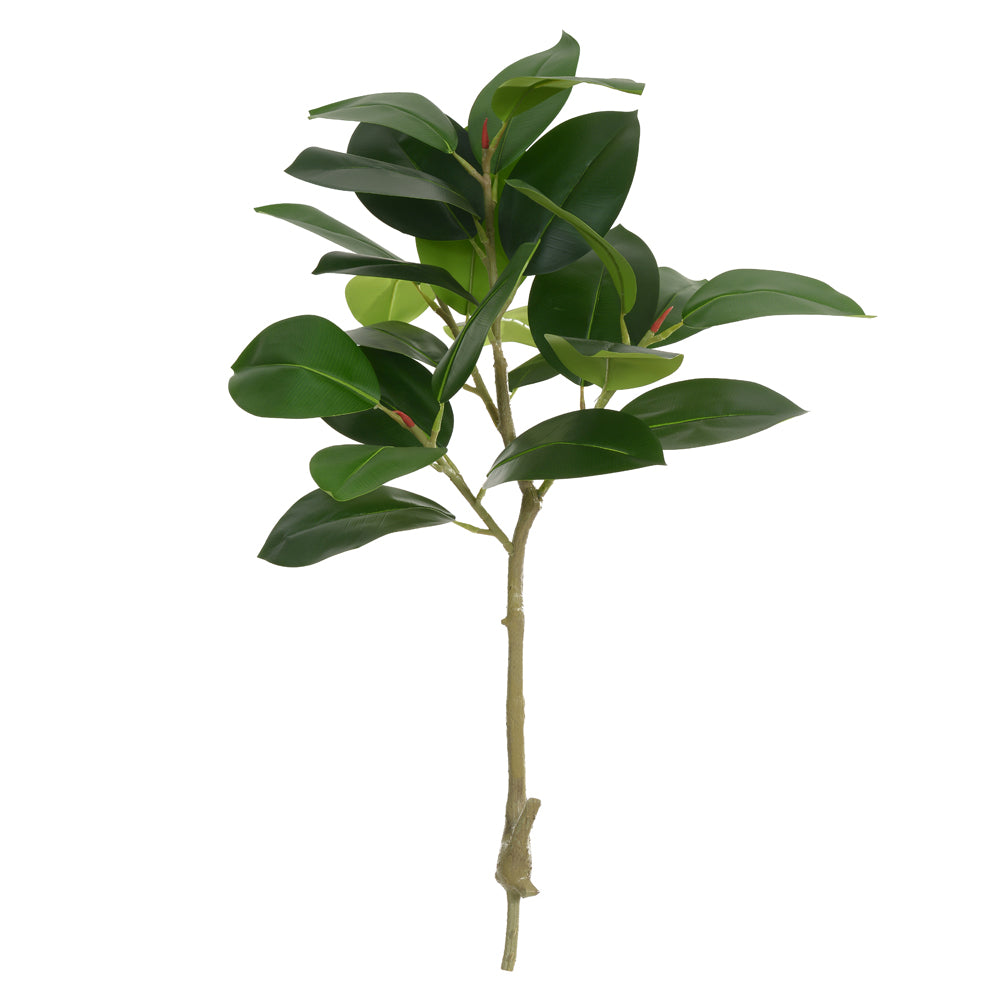 FICUS ELÁSTICA REAL TOQUE X25 (VERDE) 1M