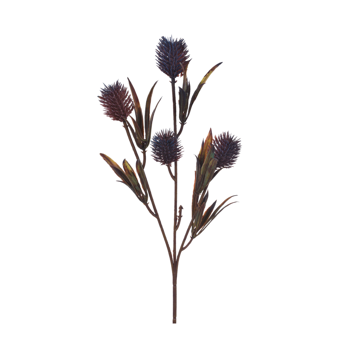 HASTE CARDO SILVESTRE LAVANDA