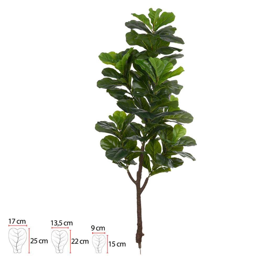 FICUS LYRATA REAL TOQUE (VERDE) 1,7M
