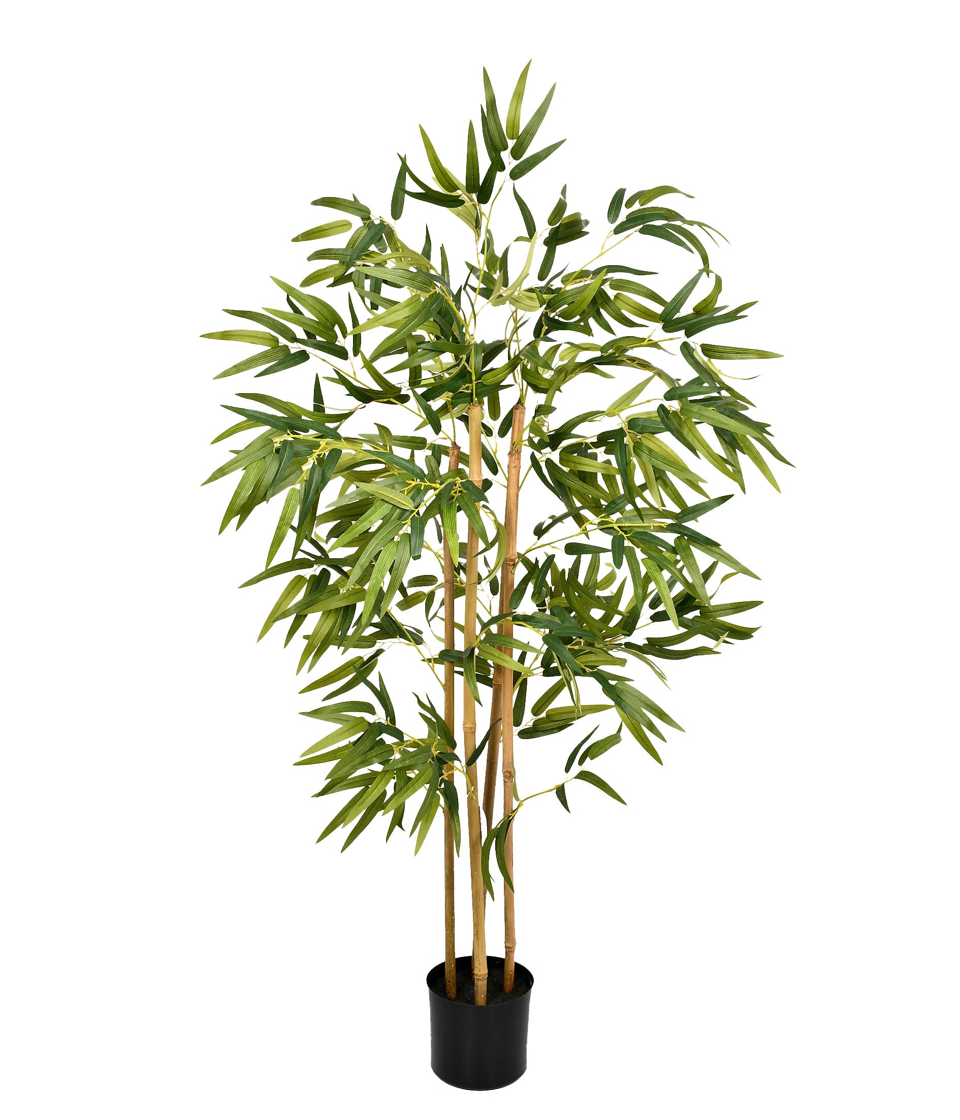 PLANTA BAMBU 5 HASTES VERDE 120X65