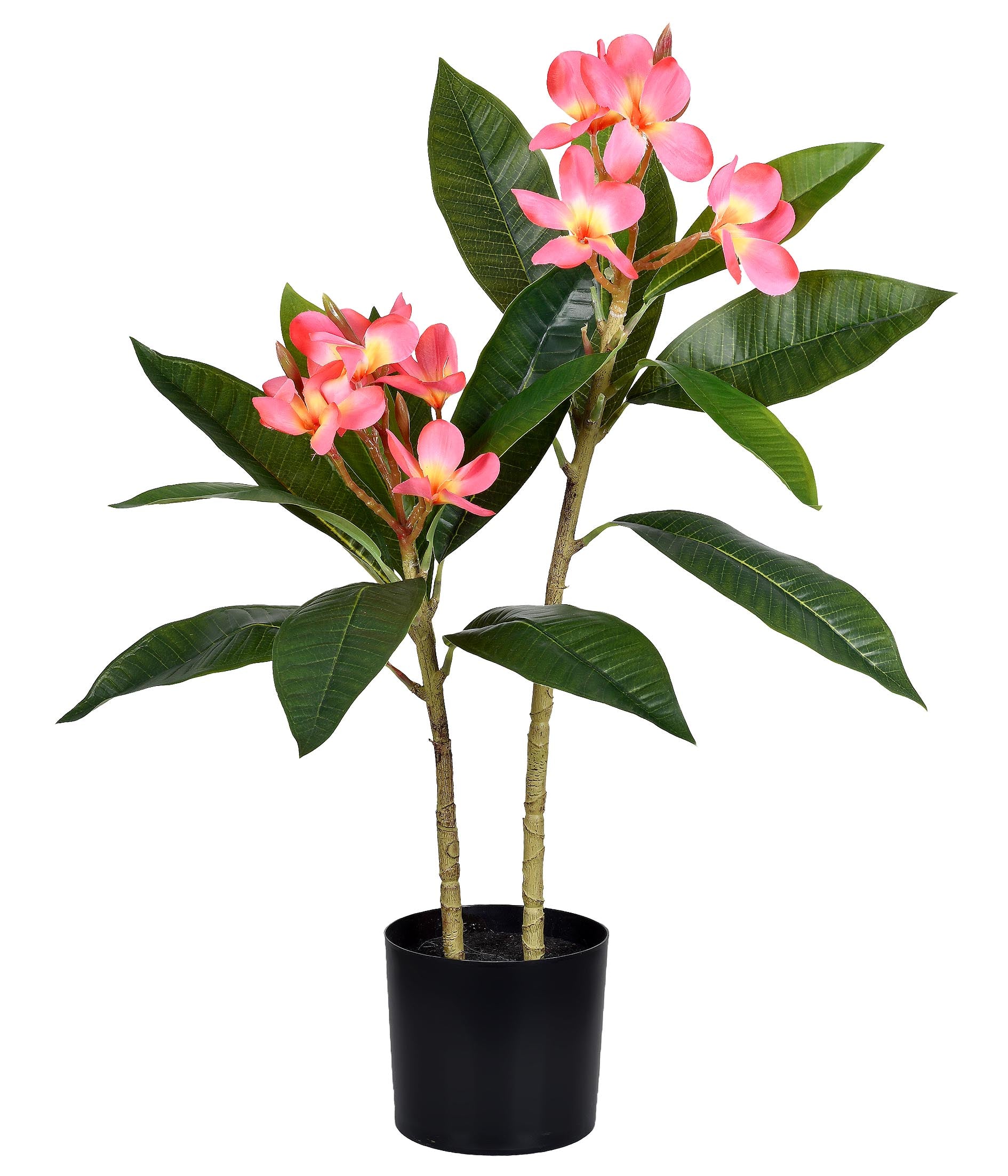 PLUMERIA NO POTE 2 HASTES REAL TOQUE ROSA 63 CM