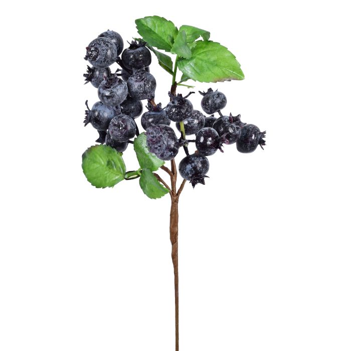HASTE BERRIES DO CAMPO AZUL