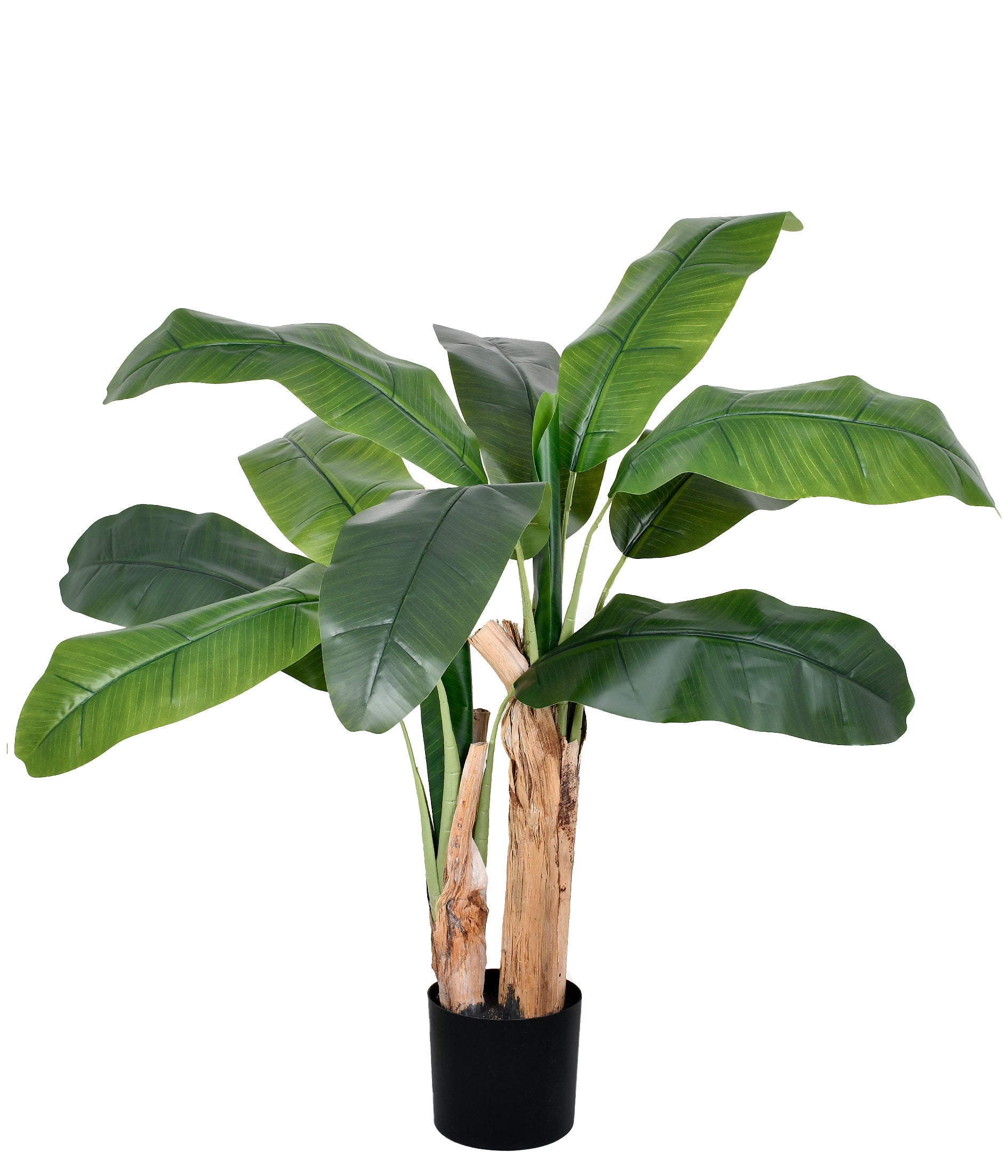 BANANEIRA NO POTE 2 HASTES VERDE 1,20M