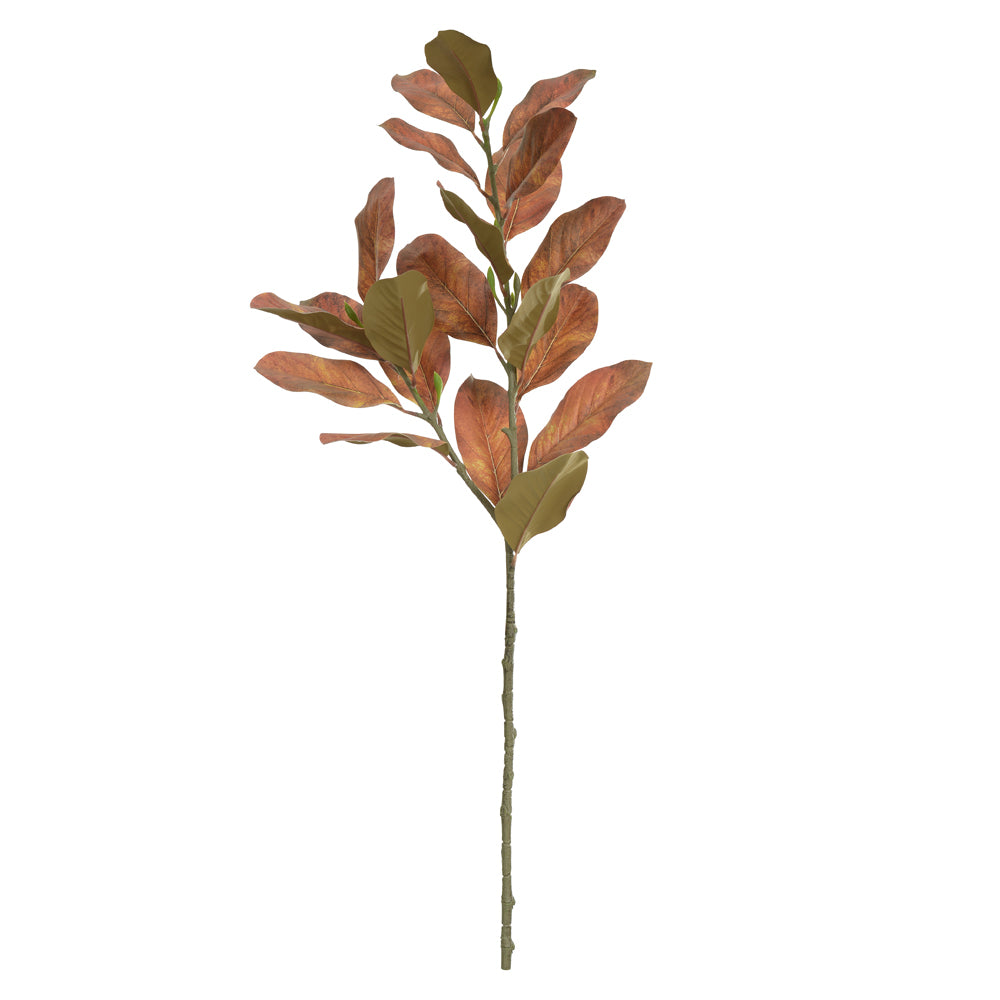 C.GALHO MAGNOLIA REAL TOQUE X21 (OCRE OUTONO) 1,1M