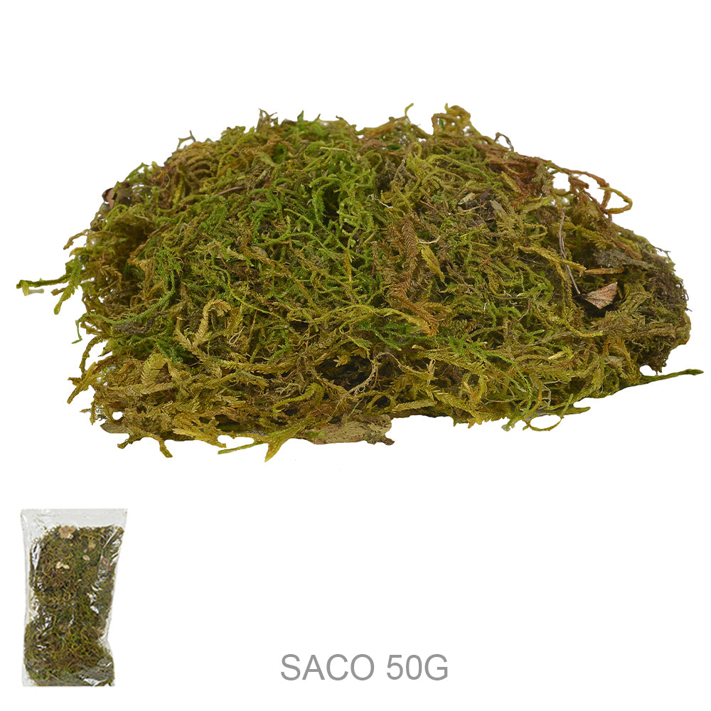 MUSGO VERDE TINGIDO (SACO 50G) 20X15CM