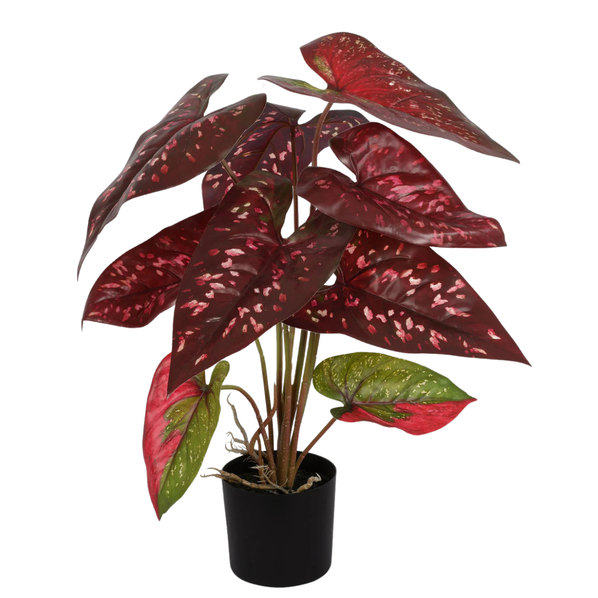 PLANTA ARTIFICIAL FOLHAS CALATHEA REAL TOQUE – 66CM