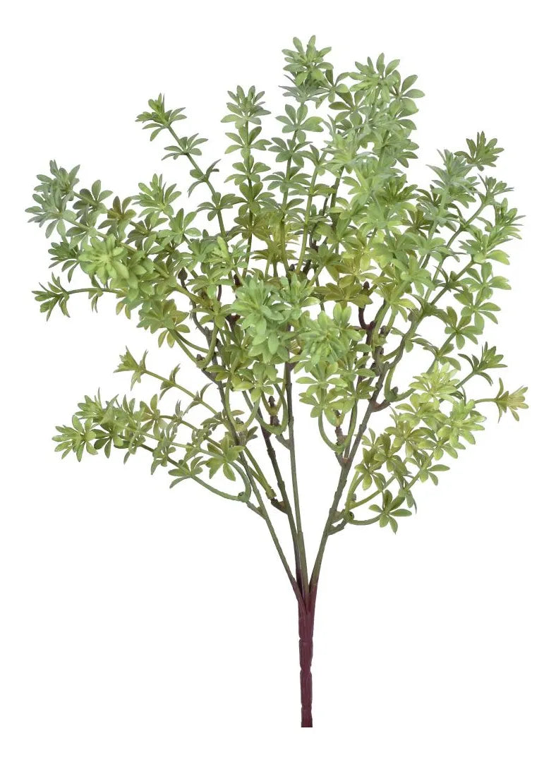BUQUÊ FOLHAS ESTRELA VERDE