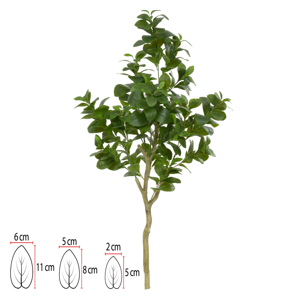 CLUSIA REAL TOQUE (VERDE) 1,2M