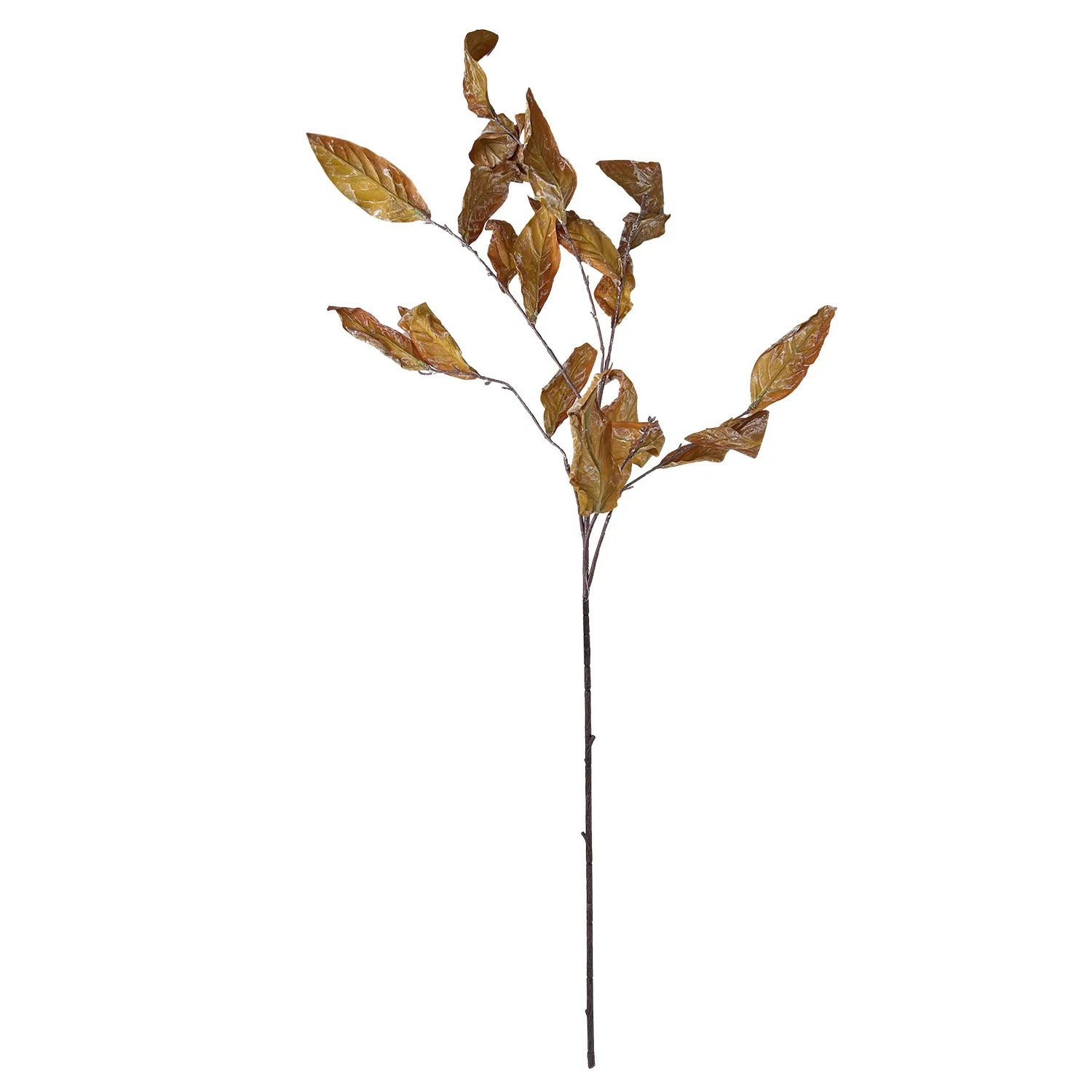 HASTE FOLHAS DE PROTEA LARANJA