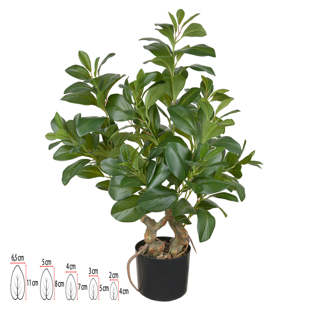 CLUSIA REAL TOQUE COM POTE X175 (VERDE) 78CM
