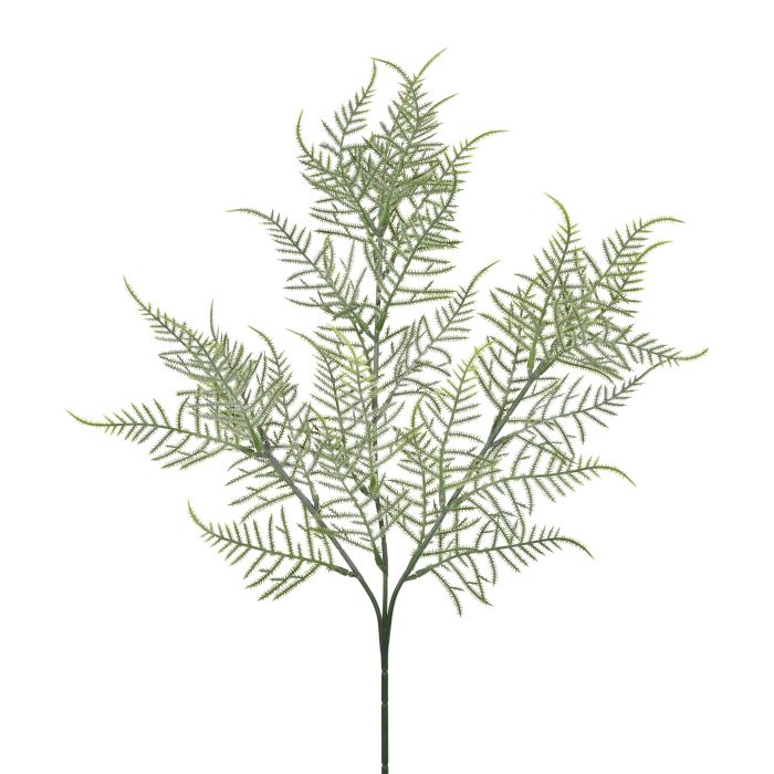 HASTE SAMAMBAIA SILVESTRE VERDE