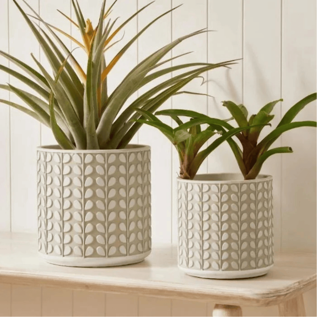 CACHEPOT EM CIMENTO ALTO RELEVO – 23X23CM
