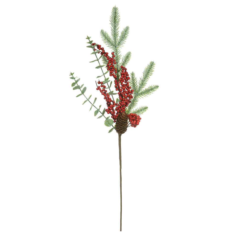 BERRY C/PINHA (VERMELHO) 63cm