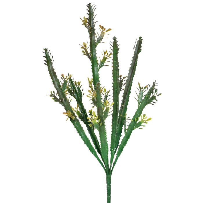 BUQUÊ CACTO VERDE