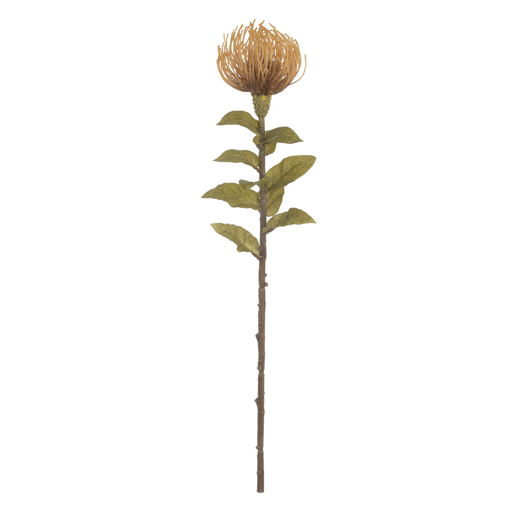 H.PROTEA (PALHA OUTONO) 75CM
