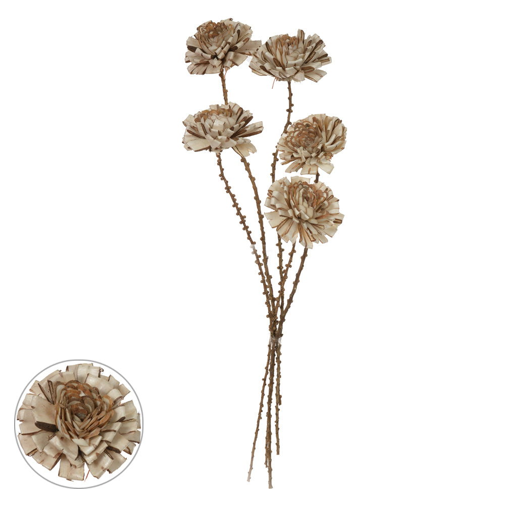 C.FLOR DESIDRATADA C/EMBALAGEM C/5 UNI (CREME) 55cm