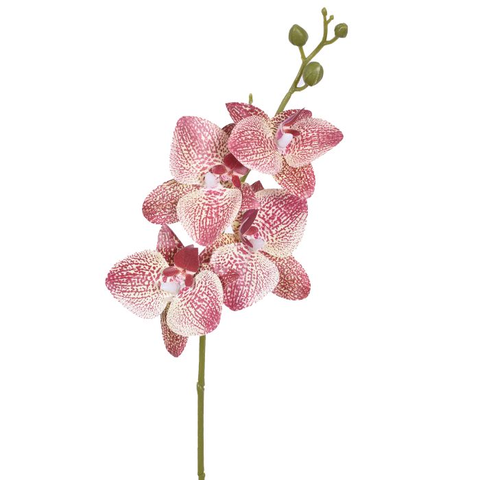 HASTE ORQUIDEA 3D LAVANDA VERDE