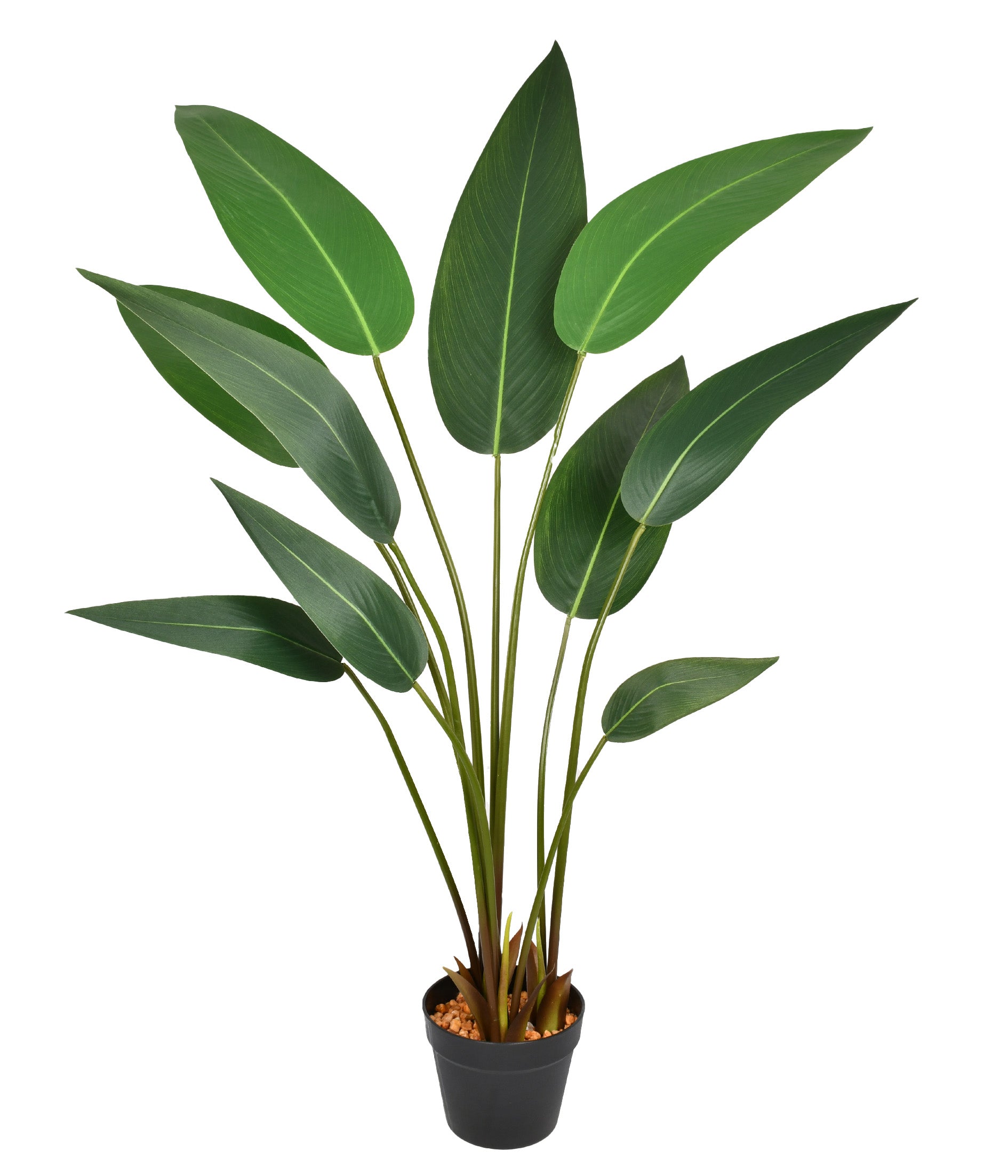 PLANTA FOLHA STRELITZIA 10 HASTES VERDE 140CM