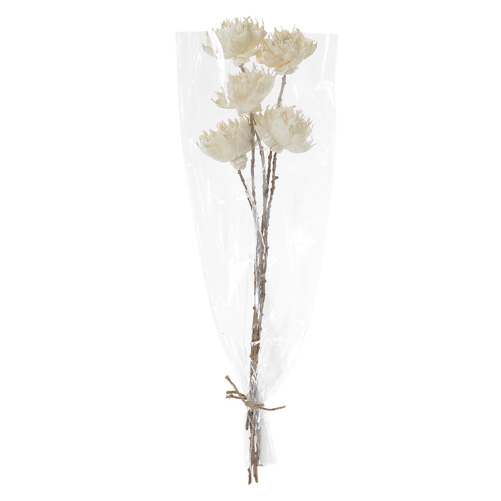 C.PROTEA DESIDRATADA COM EMBALAGEM COM 5 UNI (CREME) 55cm