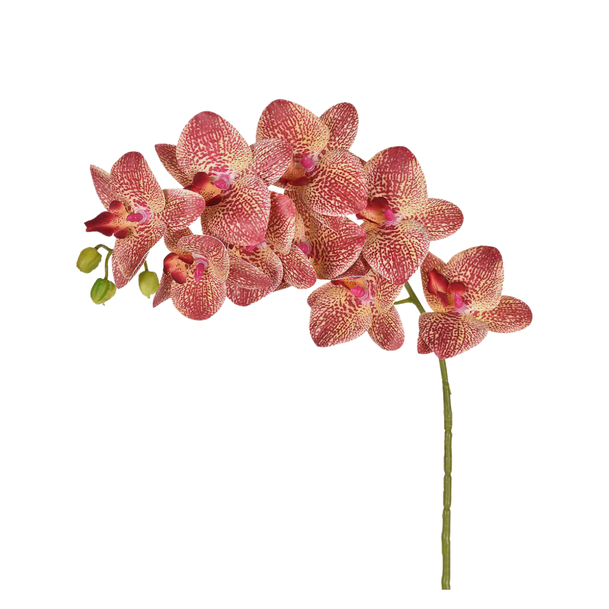 ORQUÍDEA 3D ROSA